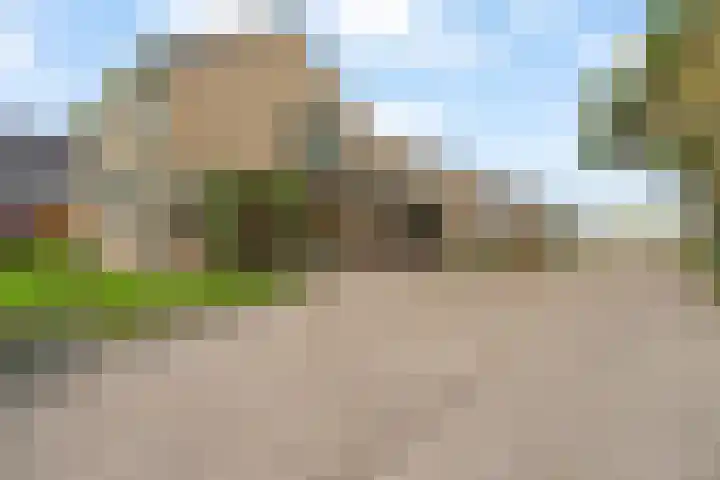 Zwarteweg 18 Noordwijk thumbnail 19