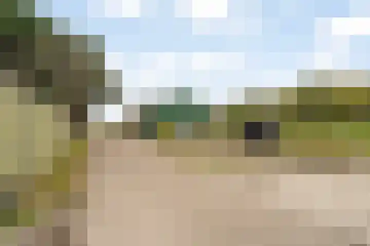 Zwarteweg 18 Noordwijk thumbnail 22