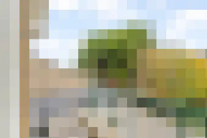 Zwarteweg 18 Noordwijk thumbnail 26
