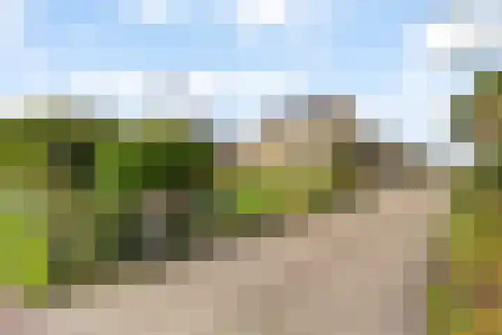 Zwarteweg 18 Noordwijk thumbnail 4