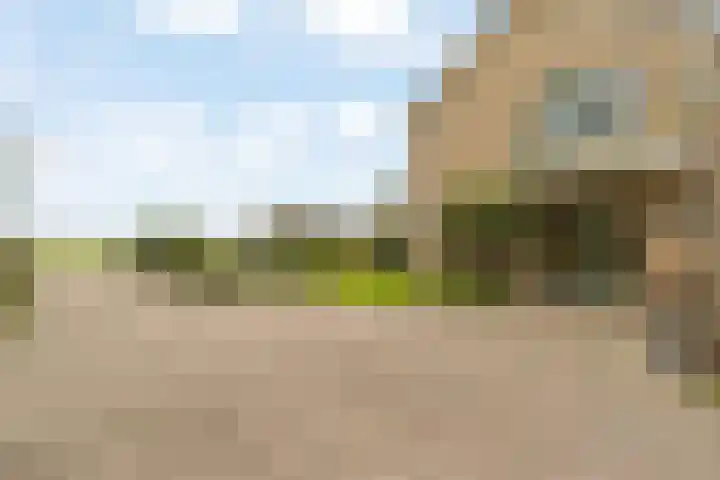 Zwarteweg 18 Noordwijk thumbnail 5