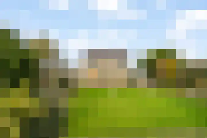 Zwarteweg 18 Noordwijk thumbnail 7