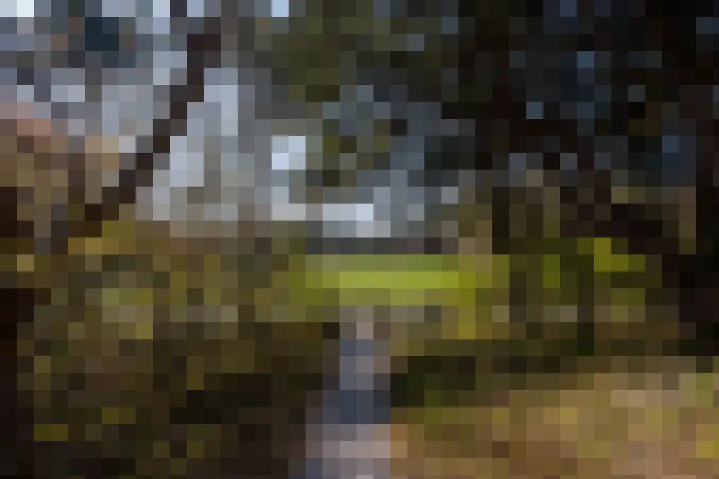 Zwarteweg 2 Buren thumbnail 12