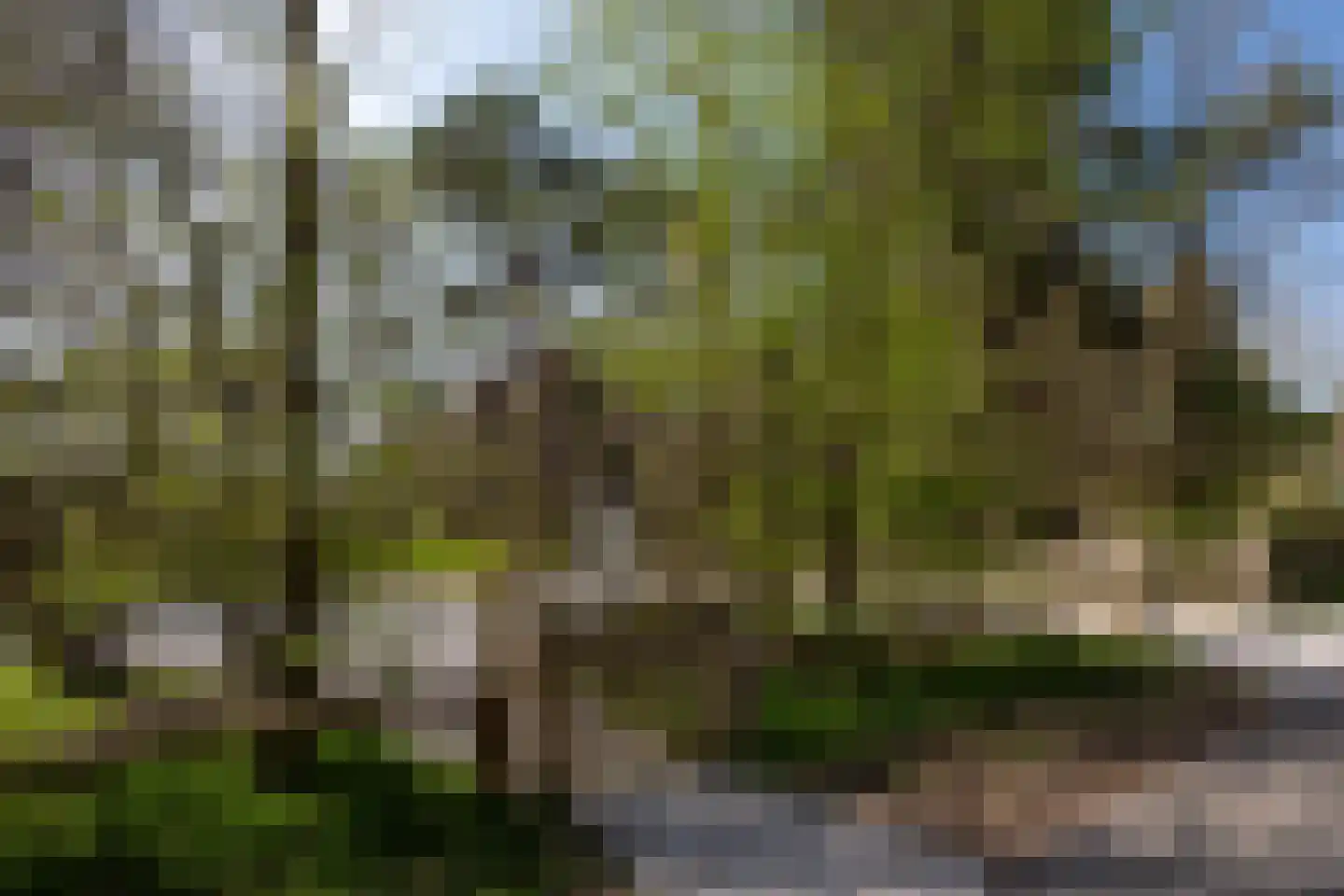 Zwarteweg 2 Buren thumbnail 18