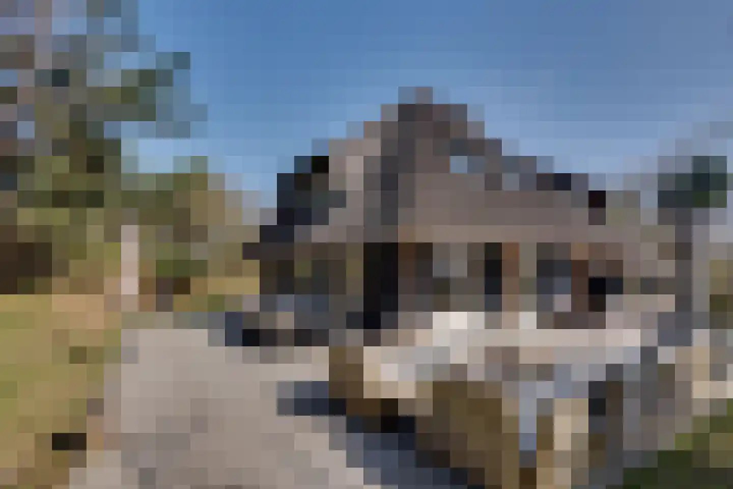 Zwarteweg 2 Buren thumbnail 19
