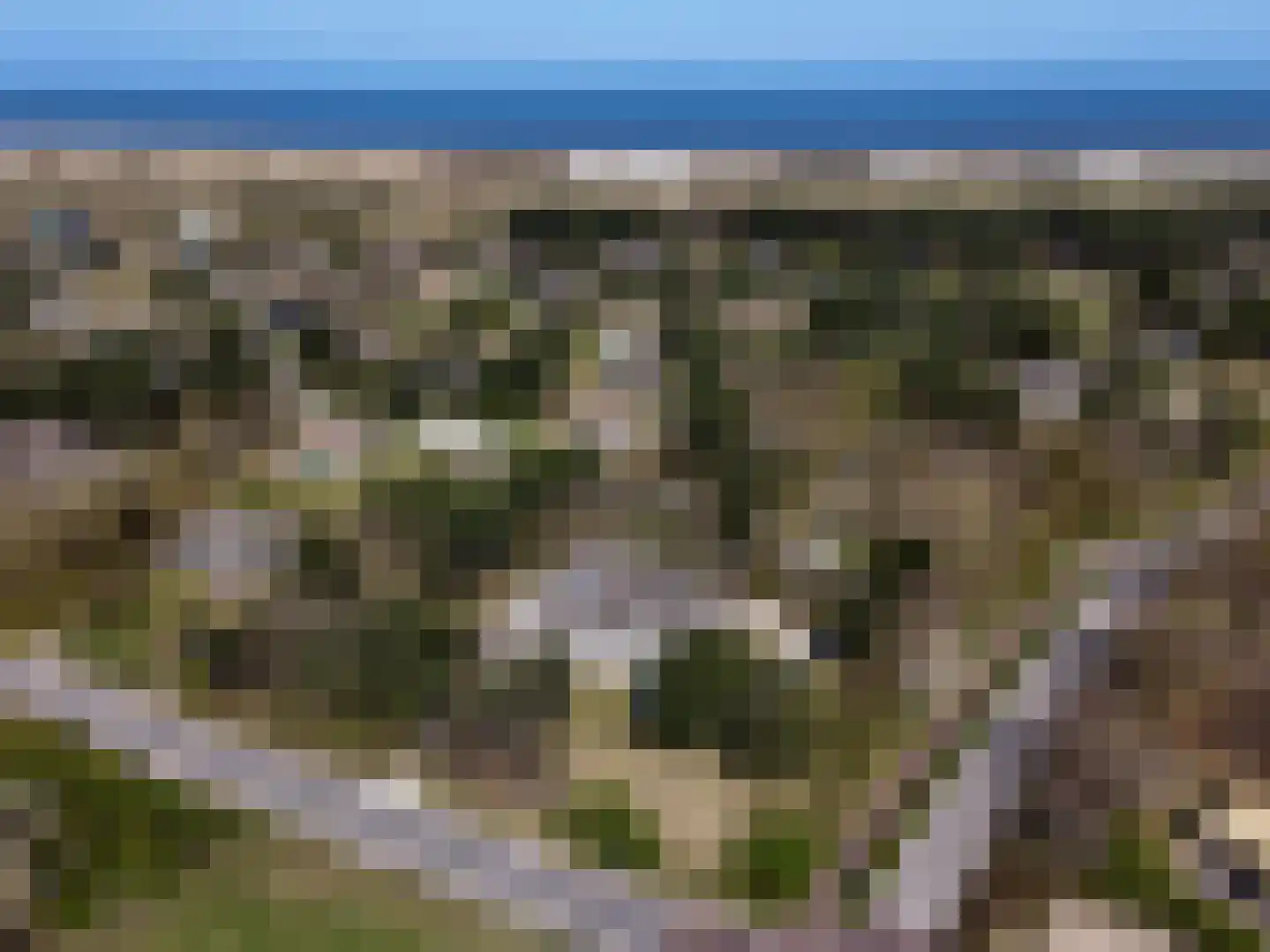 Zwarteweg 2 Buren thumbnail 21