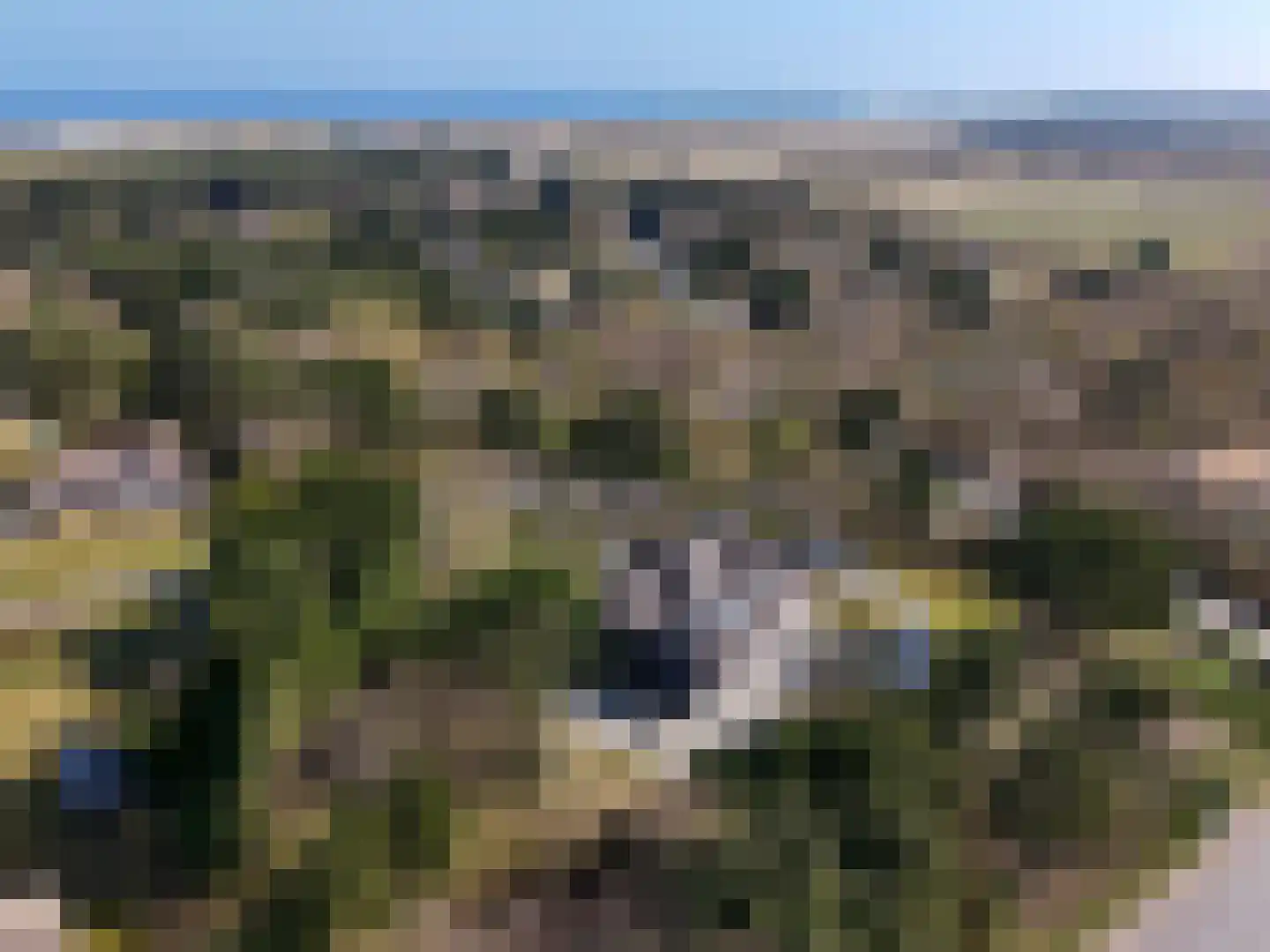 Zwarteweg 2 Buren thumbnail 22
