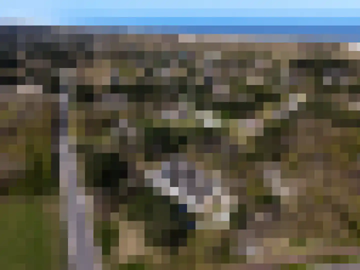 Zwarteweg 2 Buren thumbnail 24