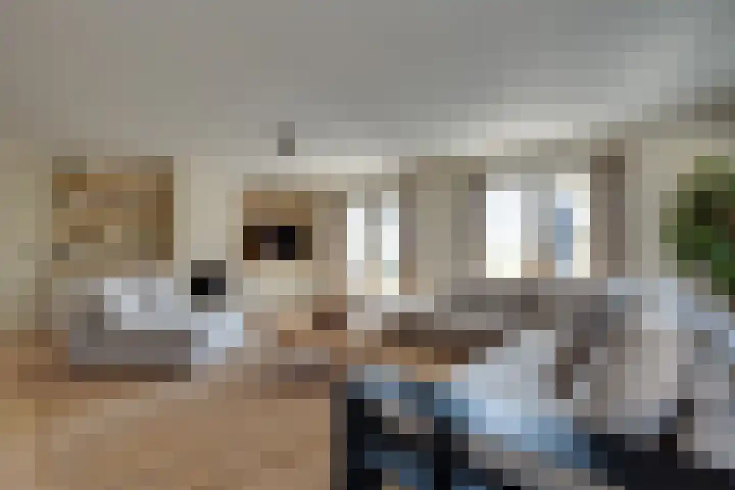Zwarteweg 2 Buren thumbnail 30