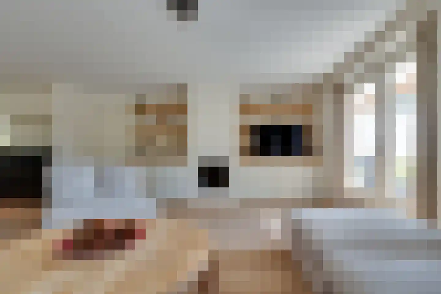 Zwarteweg 2 Buren thumbnail 32
