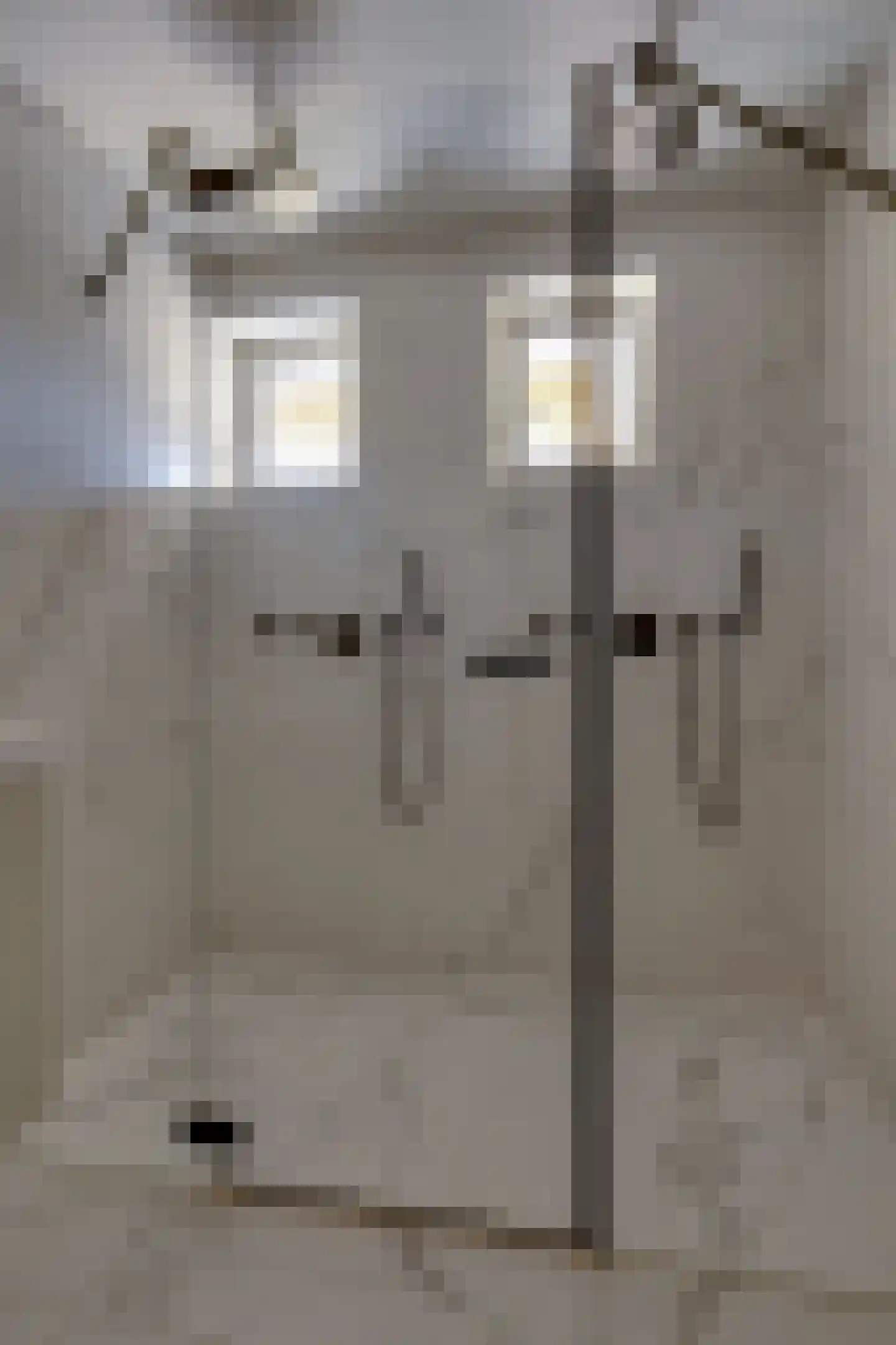 Zwarteweg 2 Buren thumbnail 36