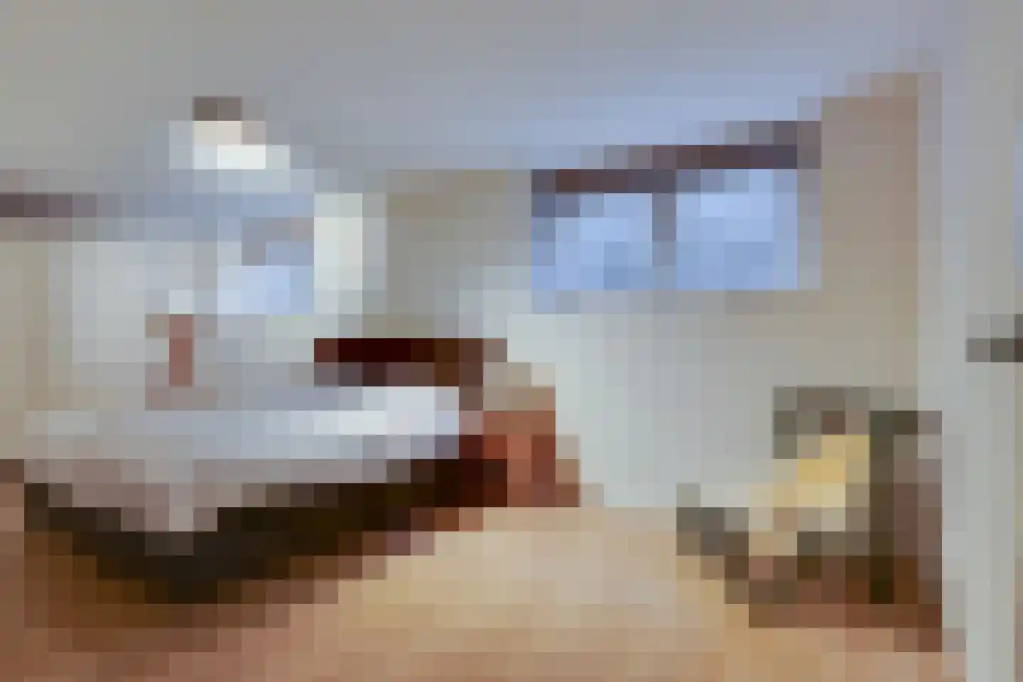 Zwarteweg 2 Buren thumbnail 39