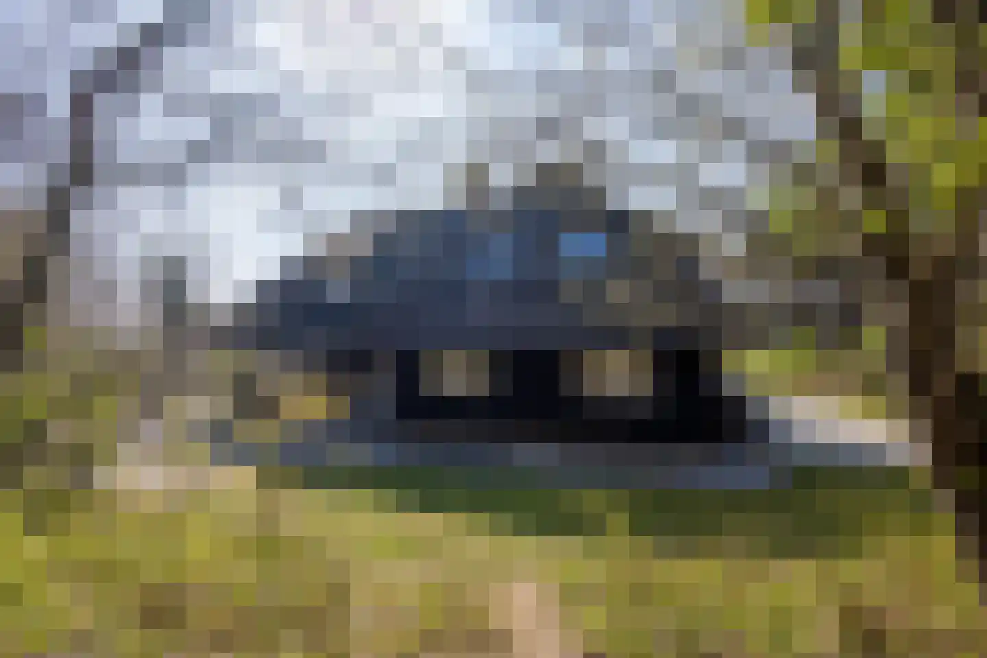 Zwarteweg 2 Buren thumbnail 4