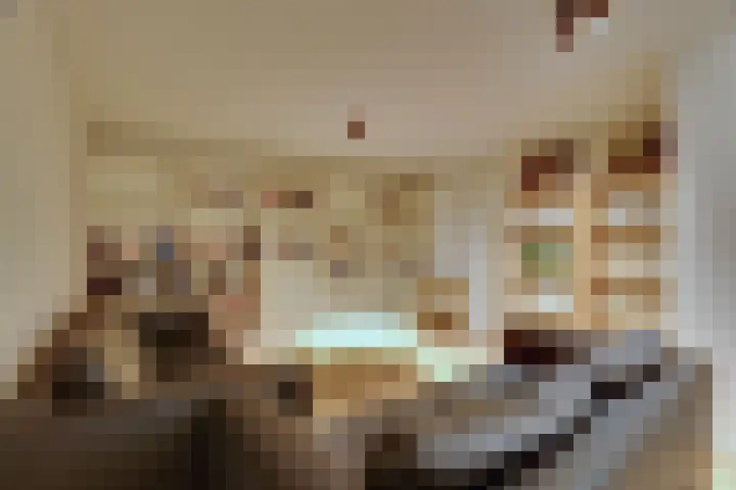 Zwarteweg 2 Buren thumbnail 44