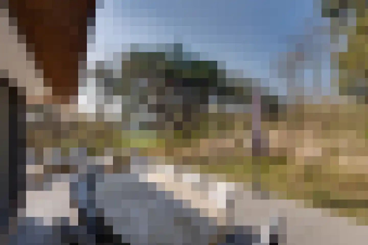 Zwarteweg 2 Buren thumbnail 5