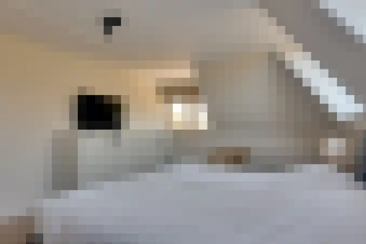 Zwarteweg 2 Buren thumbnail 56