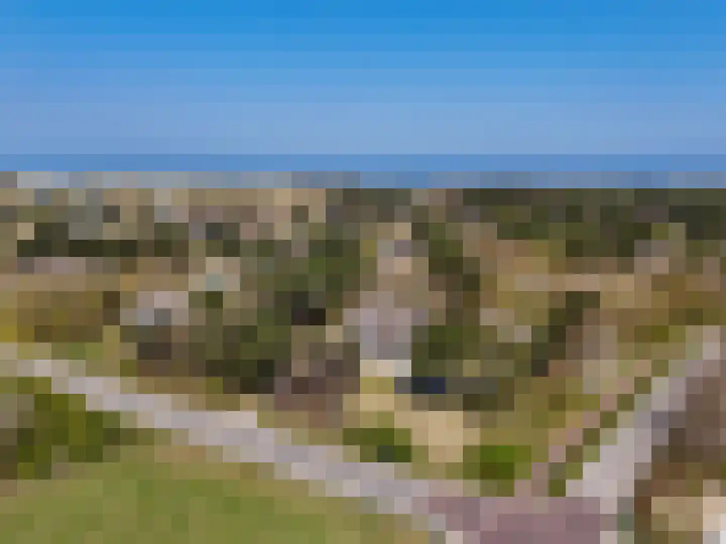Zwarteweg 2 Buren thumbnail 6