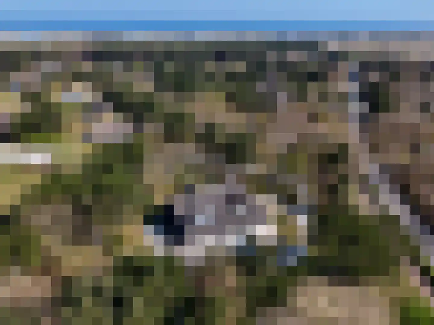 Zwarteweg 2 Buren thumbnail 7