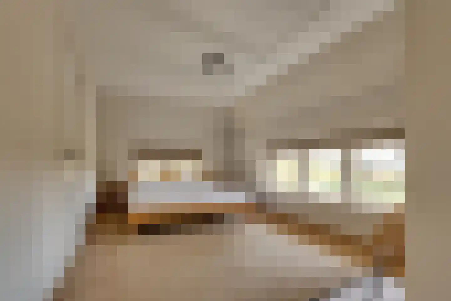 Zwarteweg 2 Buren thumbnail 8