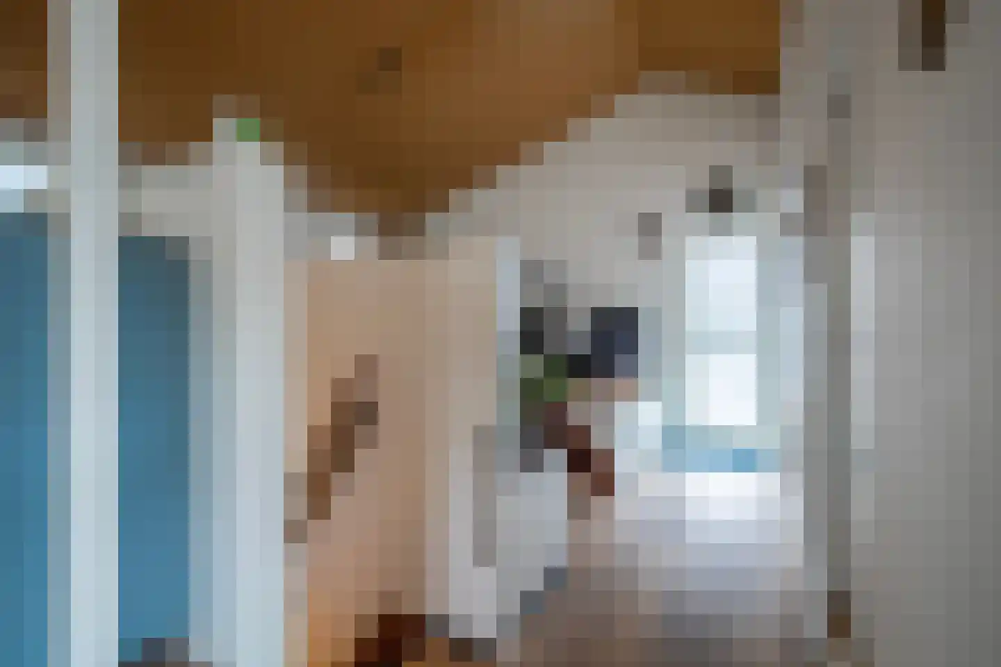 Zwarteweg 2 Tolkamer thumbnail 14