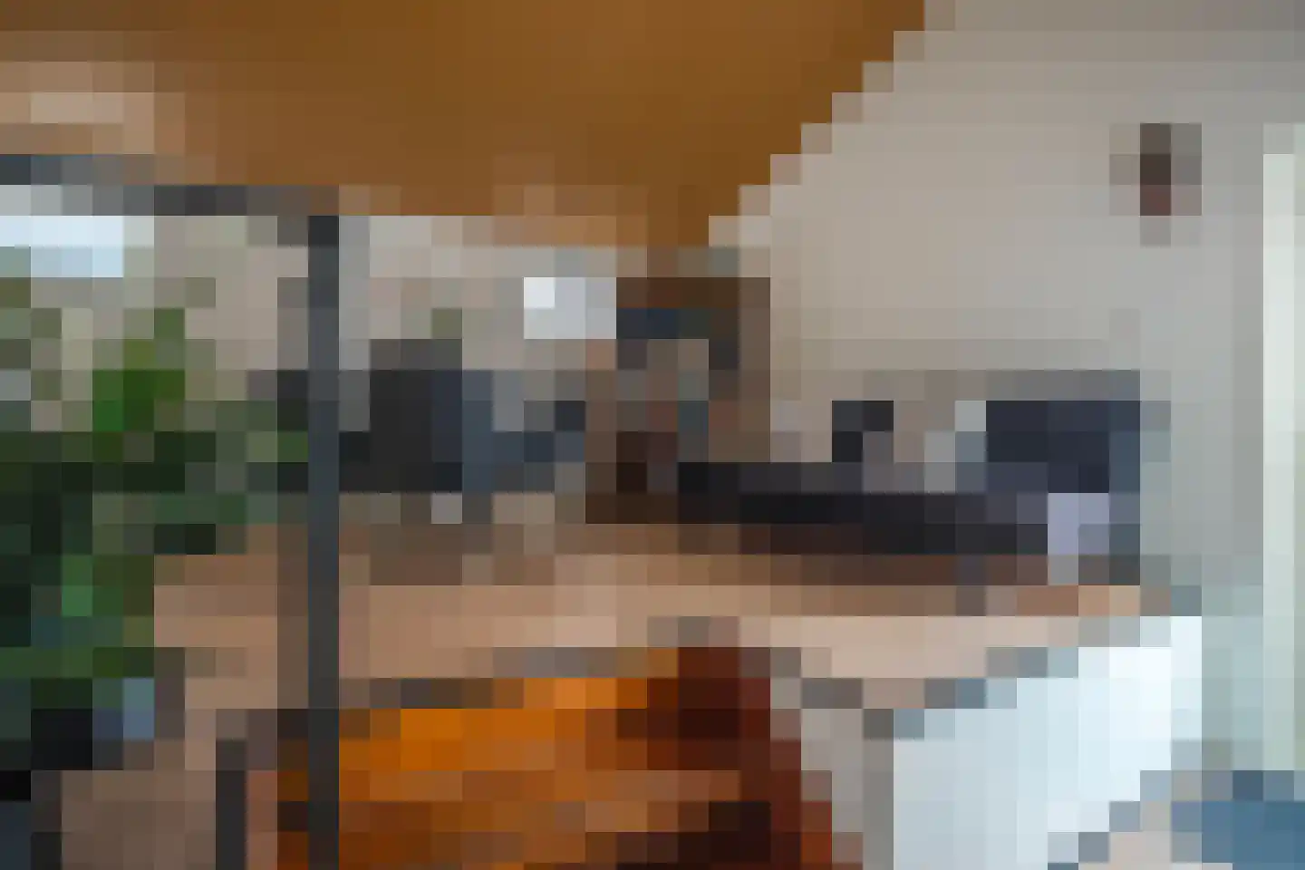 Zwarteweg 2 Tolkamer thumbnail 15