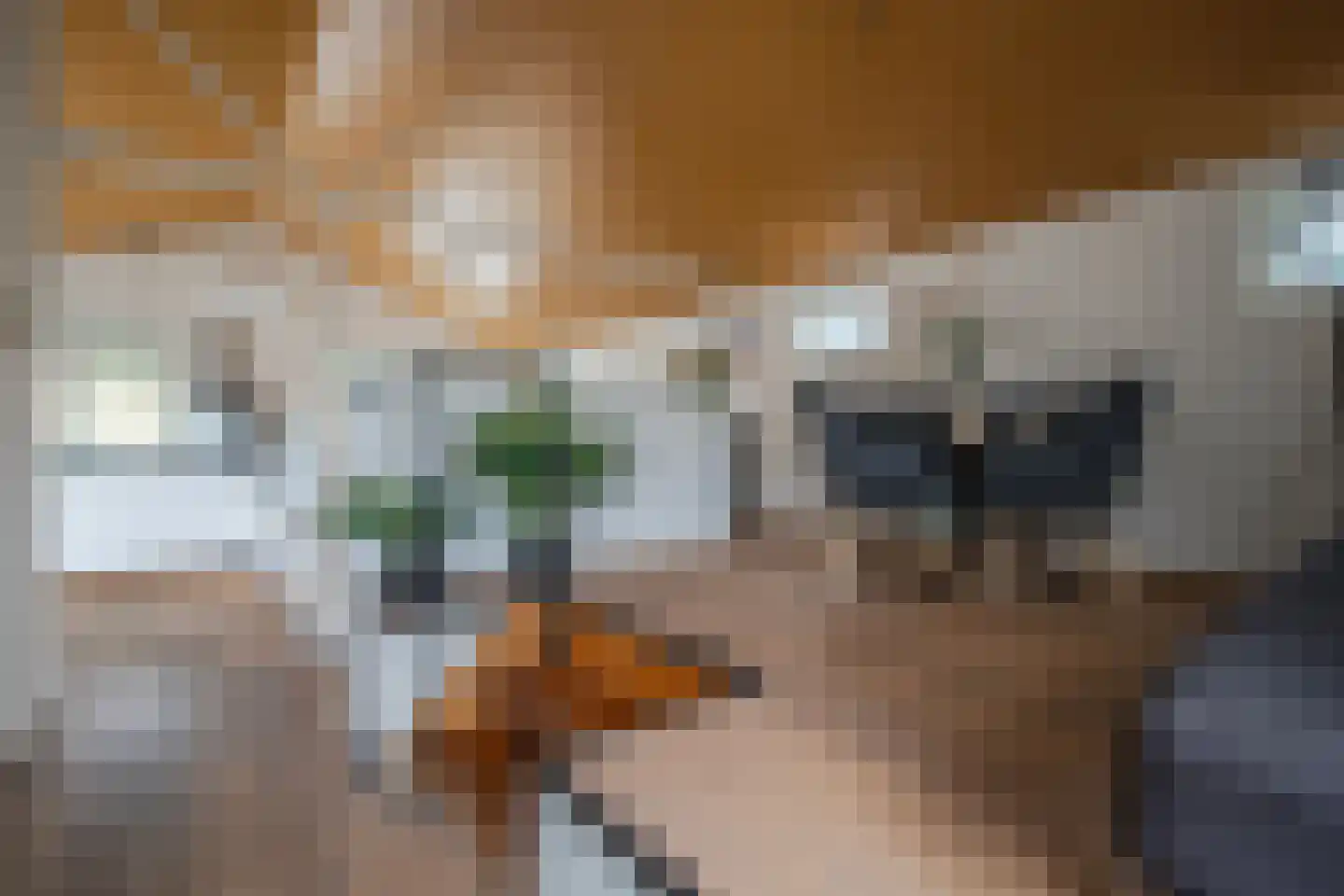 Zwarteweg 2 Tolkamer thumbnail 16