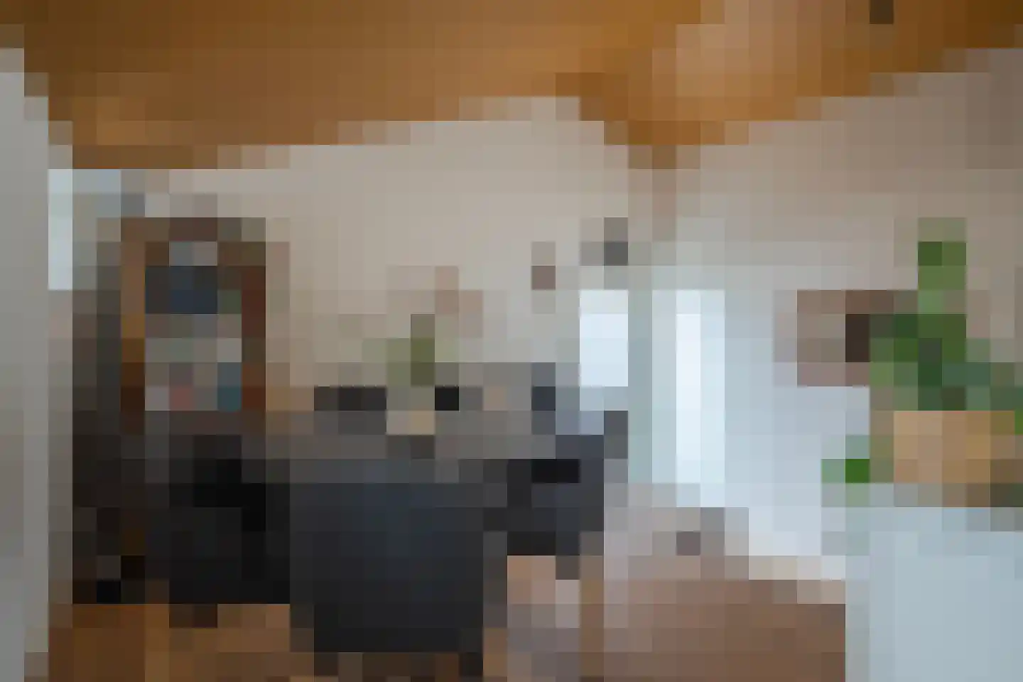 Zwarteweg 2 Tolkamer thumbnail 17