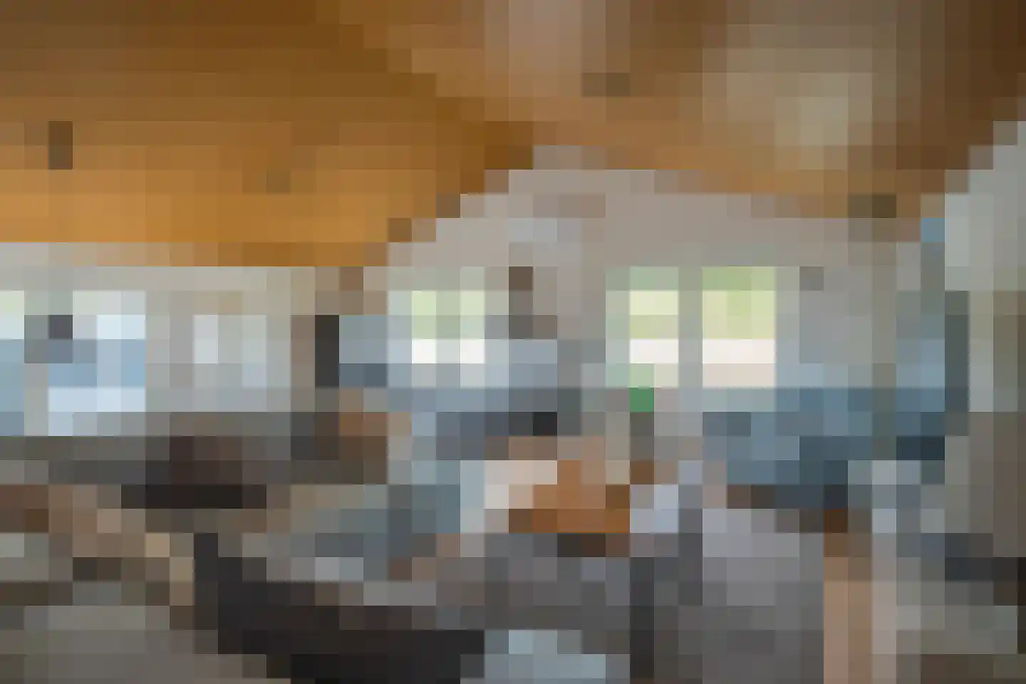 Zwarteweg 2 Tolkamer thumbnail 18