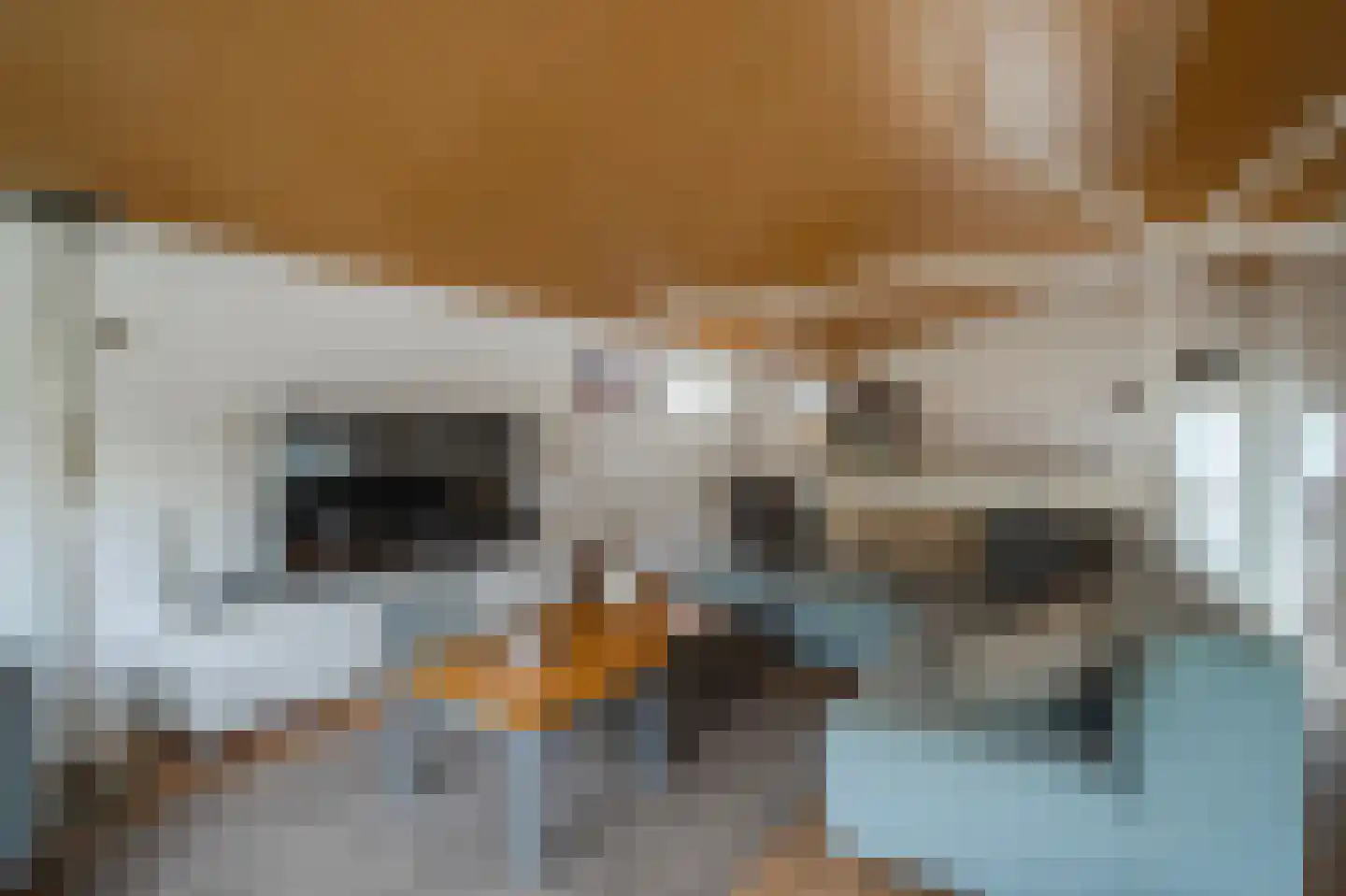 Zwarteweg 2 Tolkamer thumbnail 20