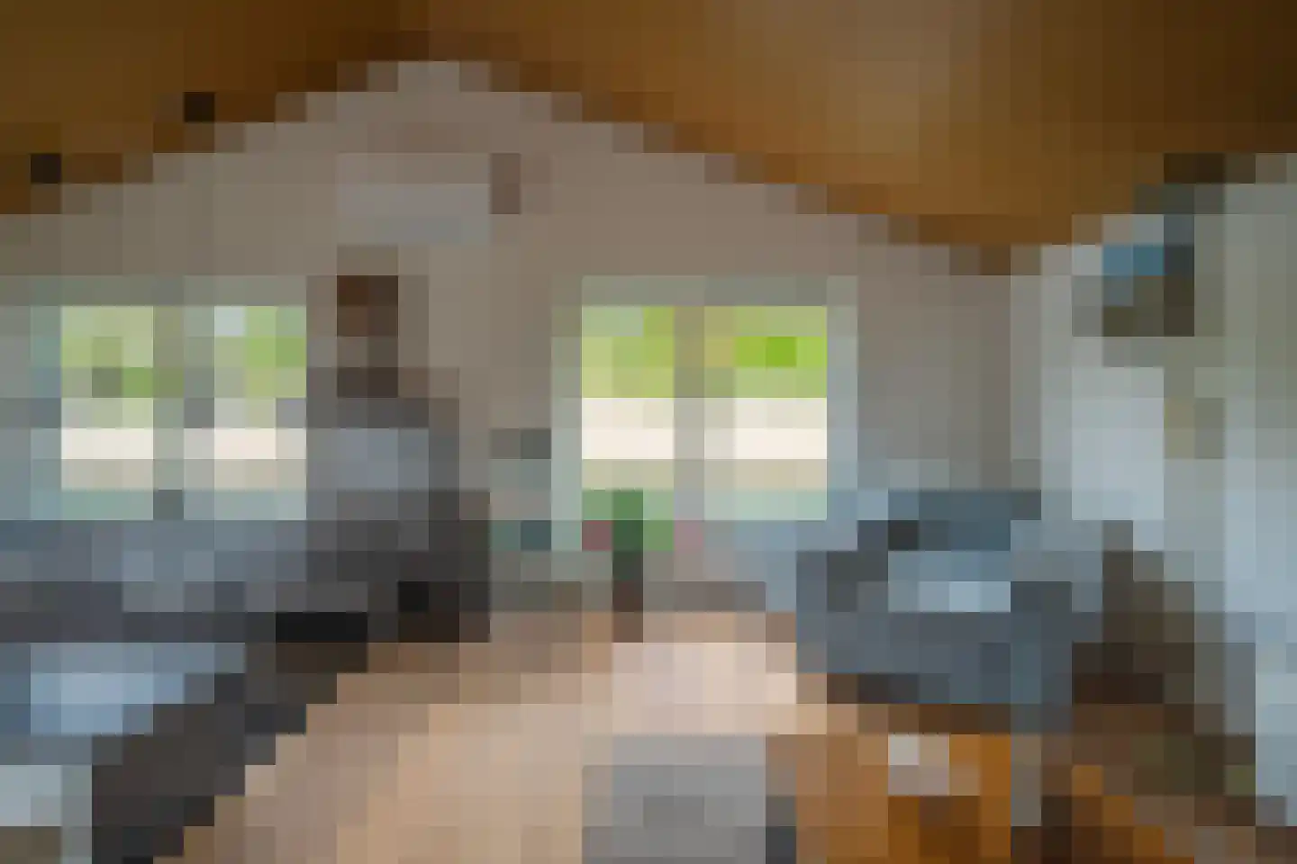 Zwarteweg 2 Tolkamer thumbnail 21