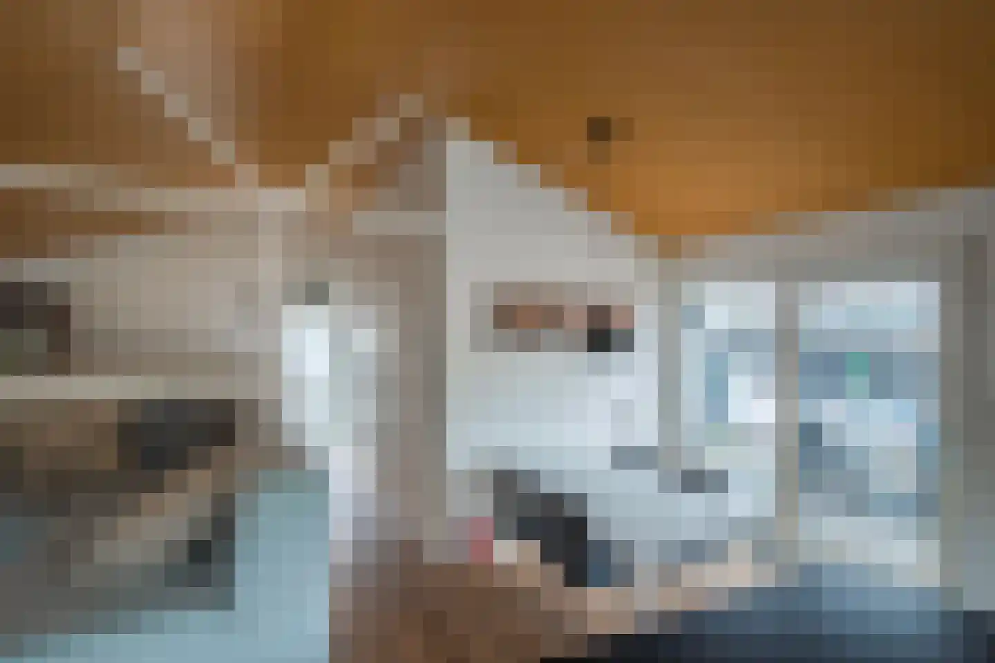 Zwarteweg 2 Tolkamer thumbnail 22