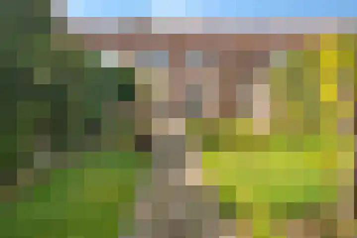 Zwarteweg 20 Enschede thumbnail 4