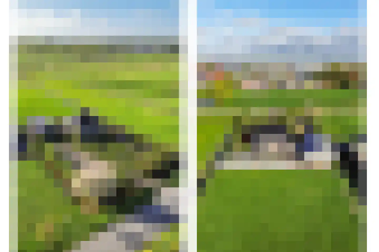 Zwarteweg 21 Rotterdam thumbnail 20