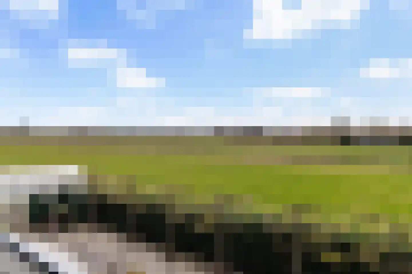 Zwarteweg 21 Rotterdam thumbnail 37