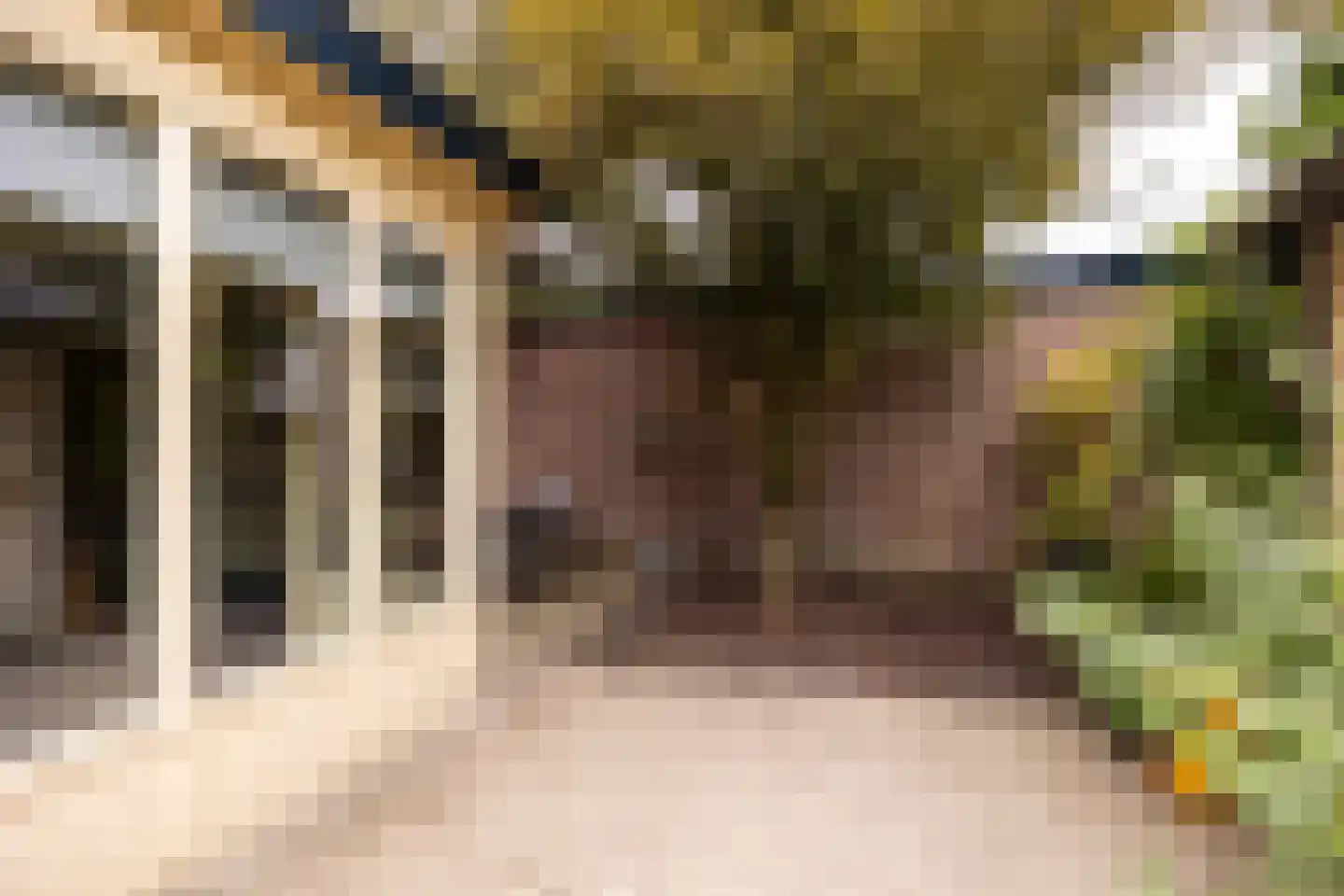 Zwarteweg 22 Leusden thumbnail 22