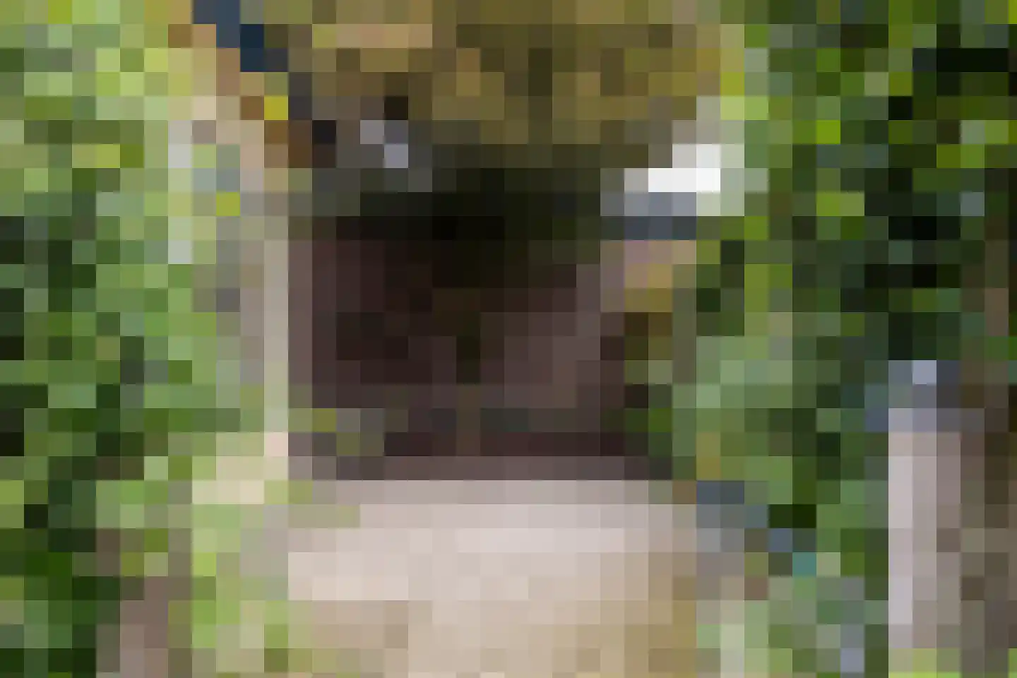 Zwarteweg 22 Leusden thumbnail 23