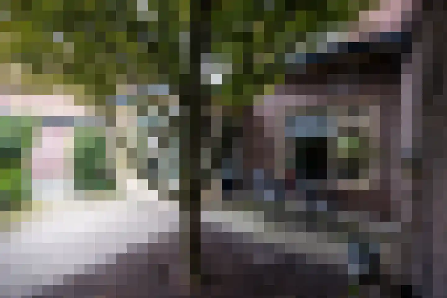 Zwarteweg 22 Leusden thumbnail 24