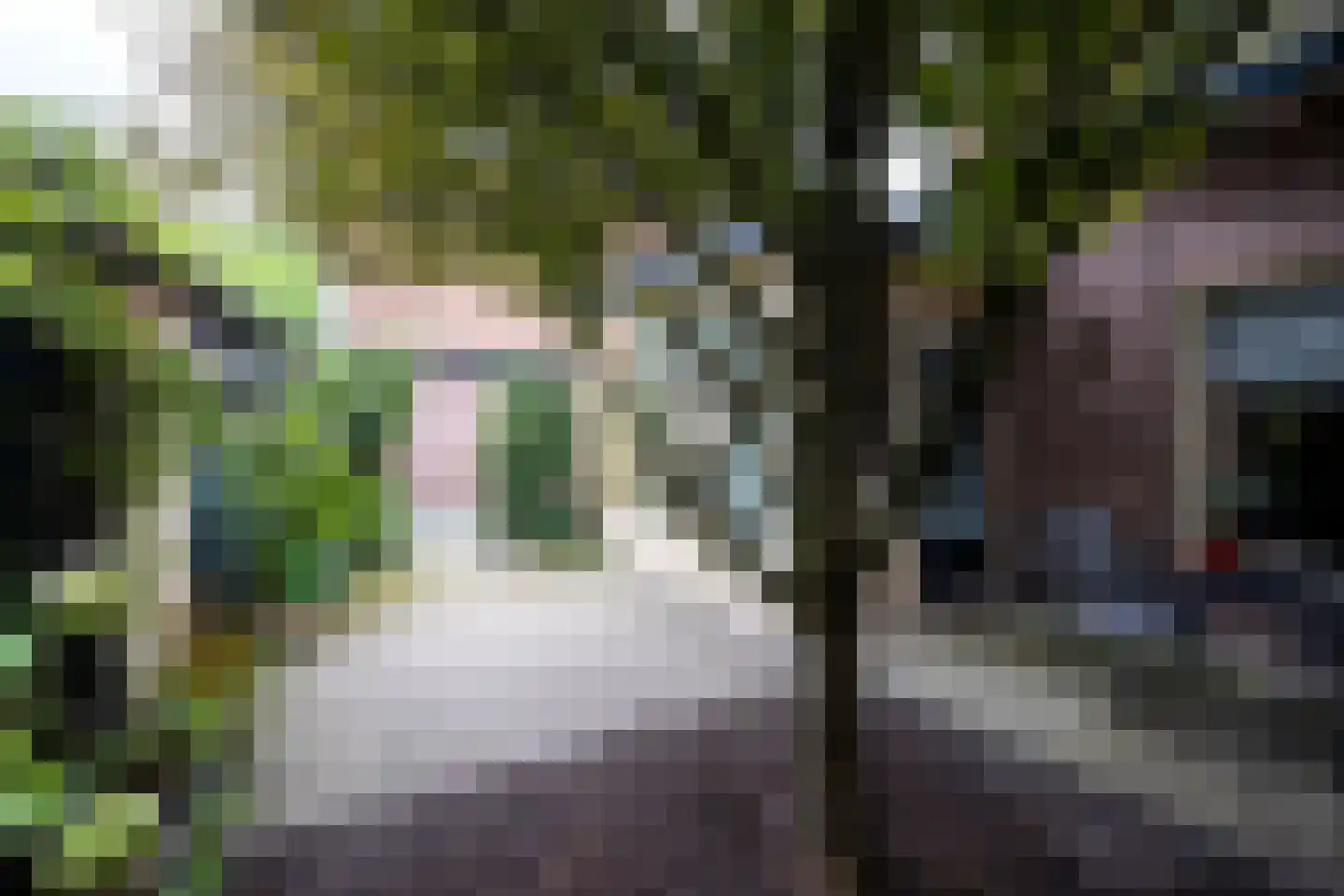 Zwarteweg 22 Leusden thumbnail 25