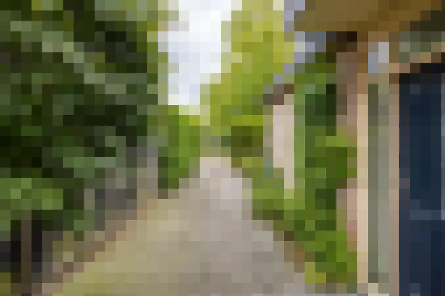Zwarteweg 22 Leusden thumbnail 27