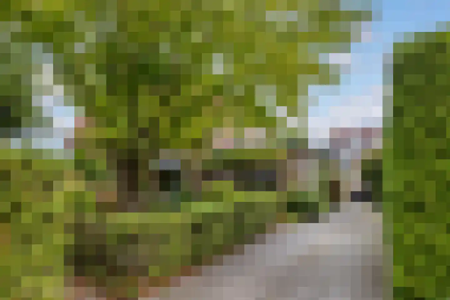 Zwarteweg 22 Leusden thumbnail 28