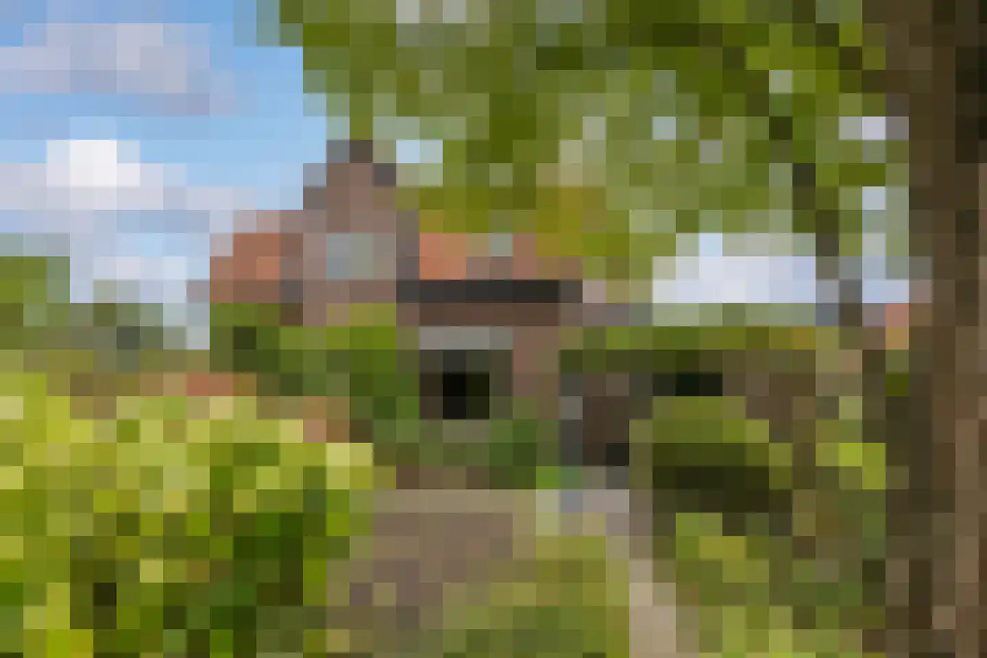 Zwarteweg 22 Leusden thumbnail 29