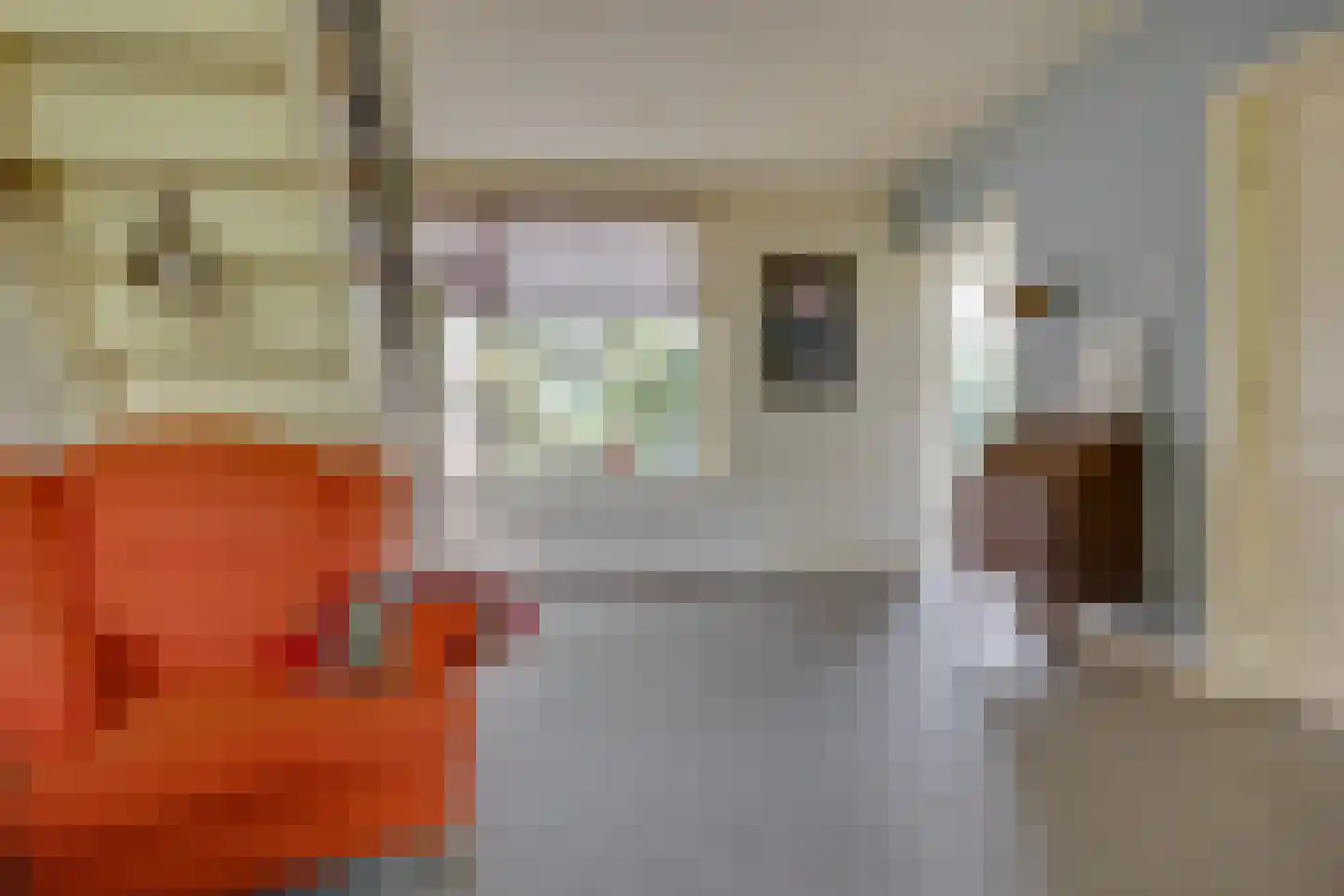 Zwarteweg 22 Leusden thumbnail 6
