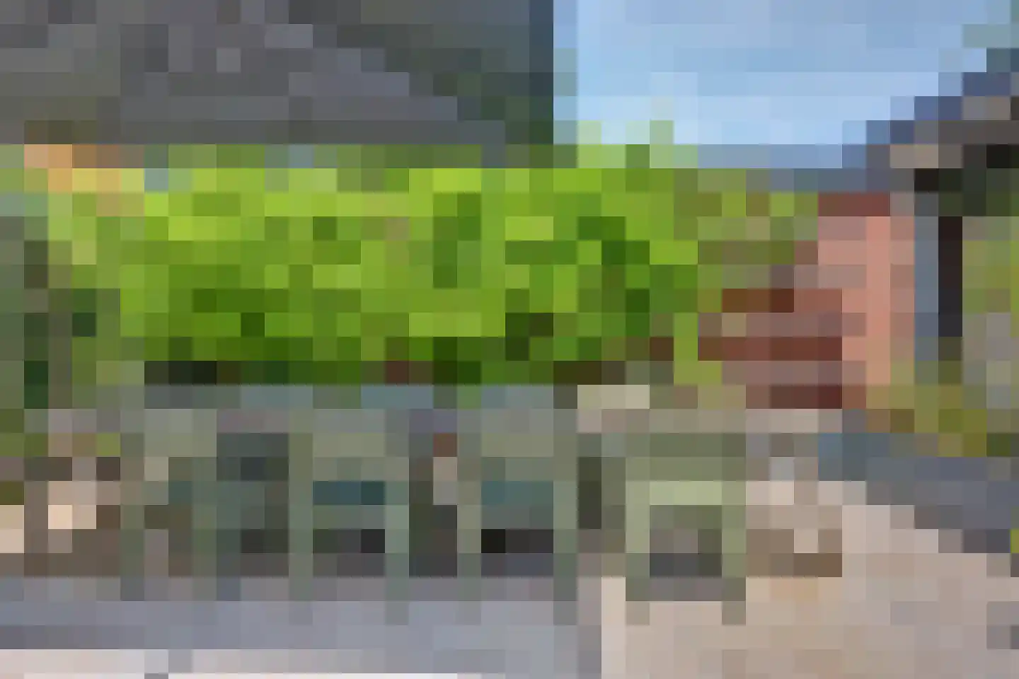 Zwarteweg 24 Gouda thumbnail 44