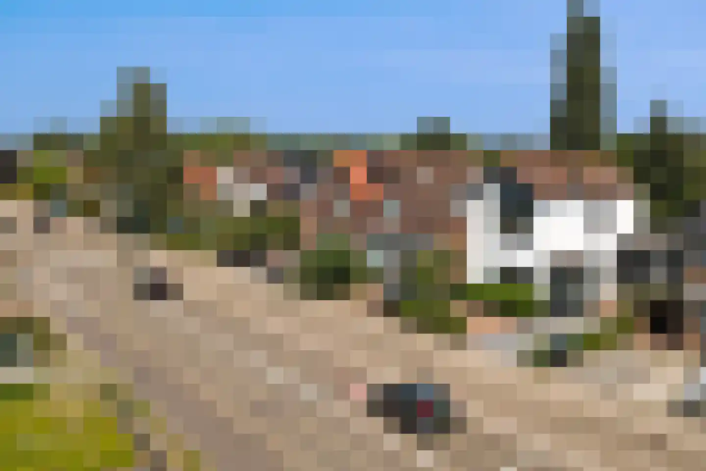 Zwarteweg 24 Gouda thumbnail 66