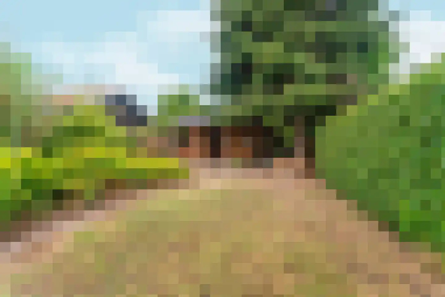 Zwarteweg 25 Milsbeek thumbnail 19
