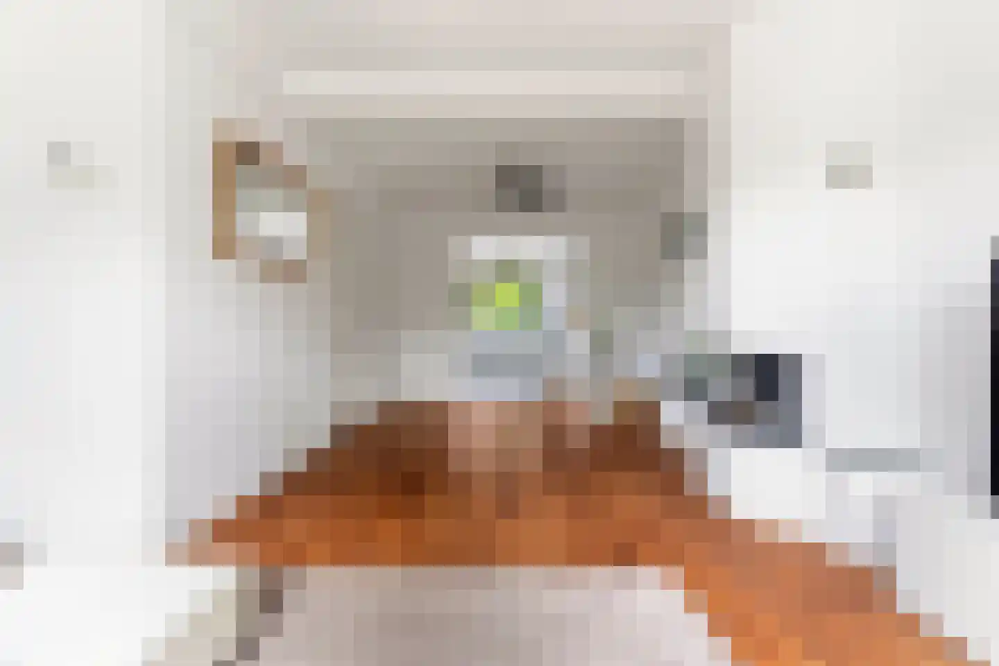 Zwarteweg 25 Milsbeek thumbnail 8