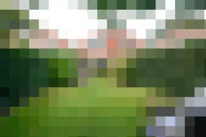 Zwarteweg 27 Bussum thumbnail 28
