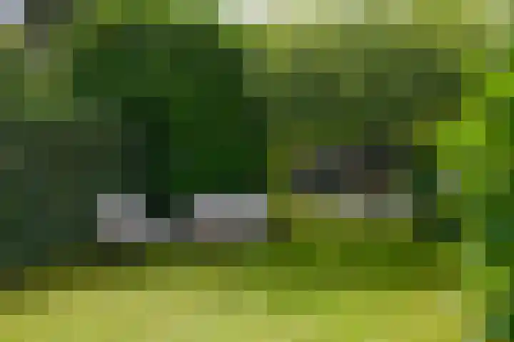 Zwarteweg 27 Bussum thumbnail 29