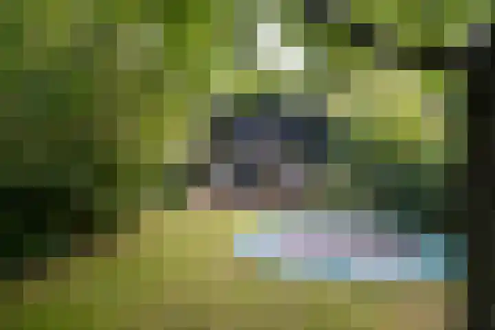 Zwarteweg 27 Bussum thumbnail 30