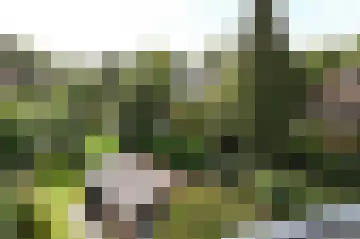 Zwarteweg 27 Bussum thumbnail 36